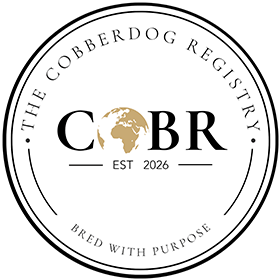 COBR-Footer